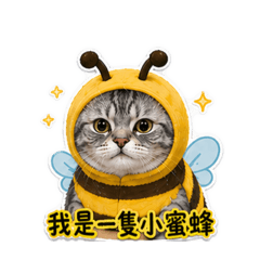 湯圓裝可愛