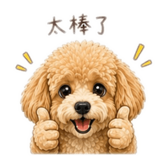 妞妞的生活日記2