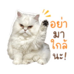 Bimy_20260504100357