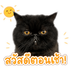 Bimy_20260504094031