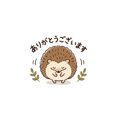 kikumimi_20260505130042