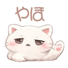 Dull cat that can be used every day