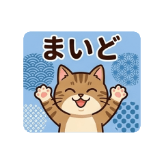 interneko_20260515145936