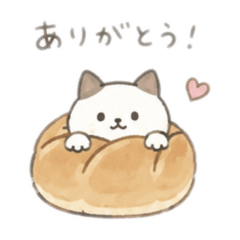 Komugi_20260515160125