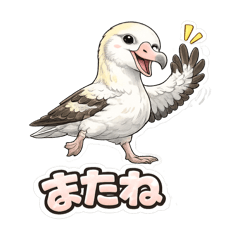 CHAO_20260515164825