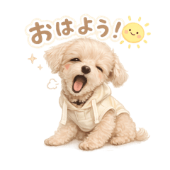 maltipoo komugi_20260515161632