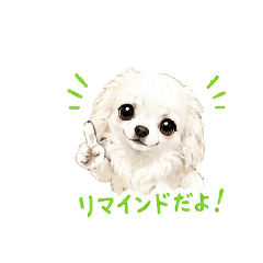 yamamotoasami_20260515163830