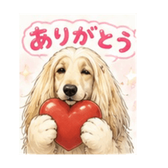 LIA_20260515164355