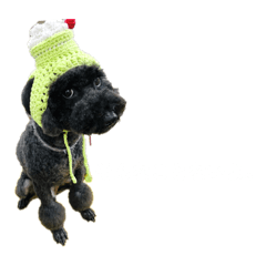 mio_20260515171619