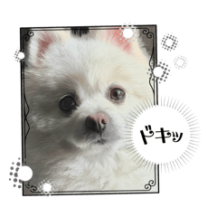 yutayuta_20260515171716