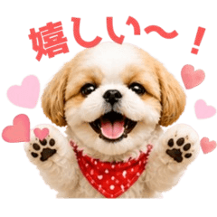 Kota's Heartwarming Stickers