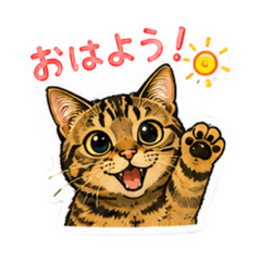 ayatsu_20260515171505