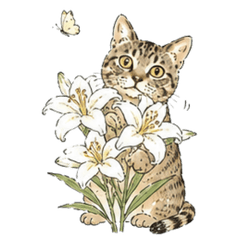 Summer Tabby Cat Stickers