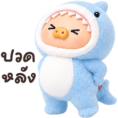 Piglet Shark