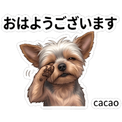 Cacao Cute Fun Stickers Vol01