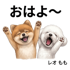 Leo and Momo Stickers Vol01
