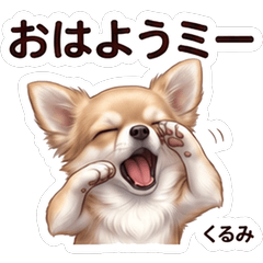 Kurumi Cute Home Stickers Vol01