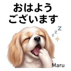 Maru Cute Mood Stickers Vol01