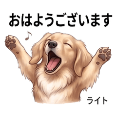 Simple Light Daily Stickers Vol01