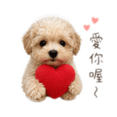 哇係笑笑Chill Chill