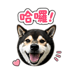 Happyㄉ日常生活用語