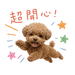 米香寶寶①