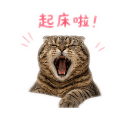 啾咪の日常貼圖(可愛版)
