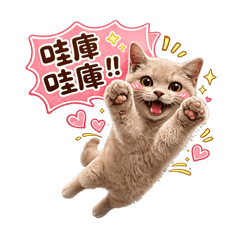 咘妃日常生活第一彈