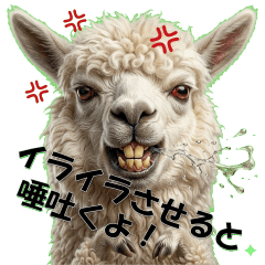 Animal tweet text