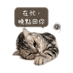 多哥の日常