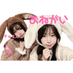 meico_20260515172810