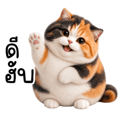 เหมียวคราฟ สามสีมงคล ตังตึงน่าฟัด