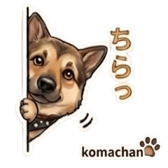 Cute Dog Komachan!