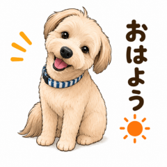 Fluffy Pomapoo Daily Stickers