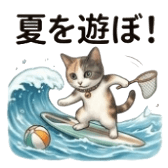 Summer Amo Cat