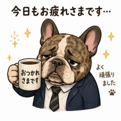 Working Frenchie Boy