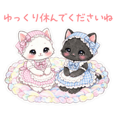 Classical Doll Cats - Polite & Cute