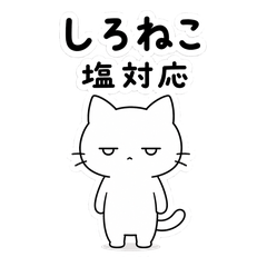 White Cat Dry Replies
