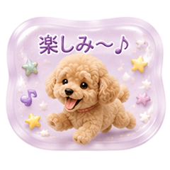每日必備的40款★玩具貴賓犬貼紙