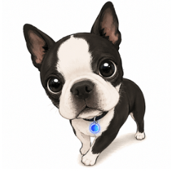Boston Terrier Buddy Stickers Vol.2