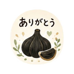 Black Garlic Daily