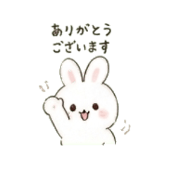 CUTE & PLAYFUL BUNNY!