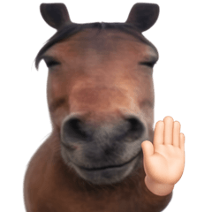 Just Brown Horse