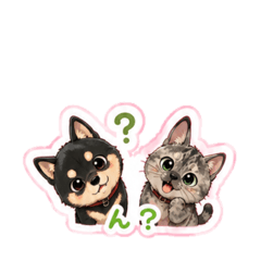 Mimi_20260515174718