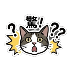 白底虎斑Mu