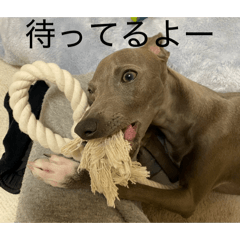 ichi_20260515175656