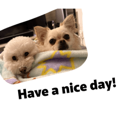Natsumi_20260505175732