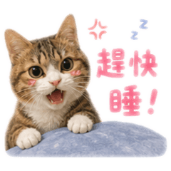 花醬貼圖2