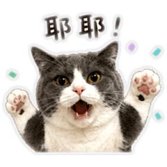 胖胖超人5
