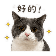 胖胖超人3